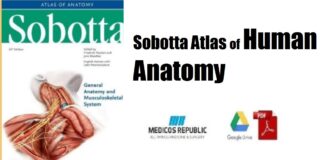 Sobotta Atlas of Human Anatomy PDF