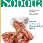 Sobotta Atlas of Human Anatomy PDF Free Download