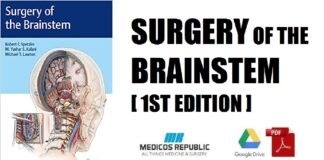 Surgery of the Brainstem 1st Edition PDF