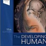 The Developing Human Clinically Oriented Embryology PDF Free Download