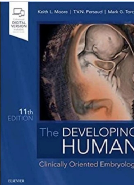 The Developing Human Clinically Oriented Embryology PDF