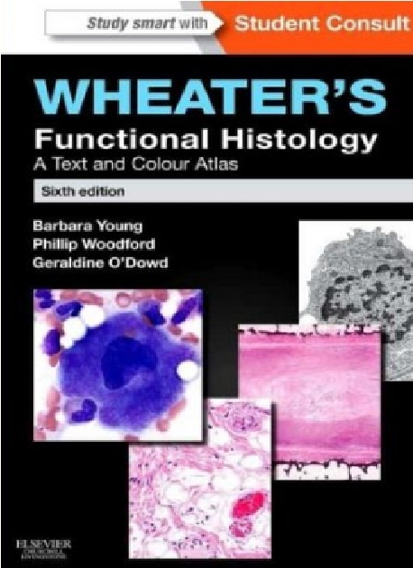 Wheater’s Functional Histology A Text and Colour Atlas PDF