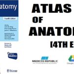 Atlas of Anatomy 4th Edition PDF