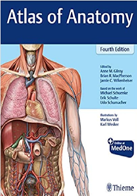 Atlas of Anatomy 4th Edition PDF