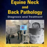 Equine-Neck-and-Back-Pathology-PDF