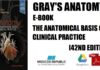 Gray's Anatomy E-Book The Anatomical Basis of Clinical Practice 42nd Edition PDF