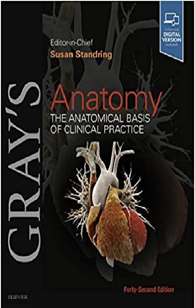 Gray's Anatomy E-Book: The Anatomical Basis of Clinical Practice 42nd Edition PDF