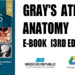 Gray's Atlas of Anatomy E-Book 3rd Edition PDF