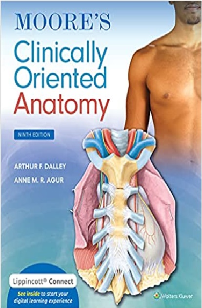 Moore's Clinically Oriented Anatomy 9th Edition PDF