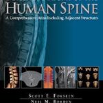 imaging-anatomy-human-spine-pdf