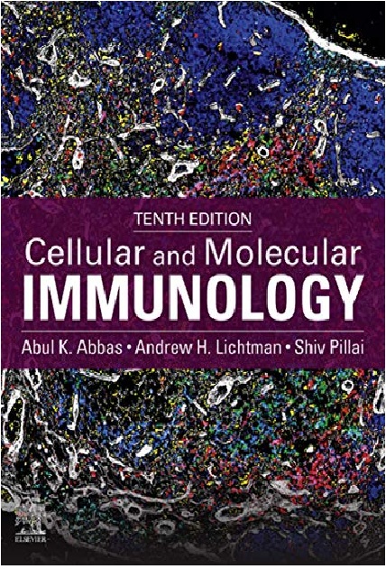 Cellular and Molecular Immunology E-Book 10th Edition PDF