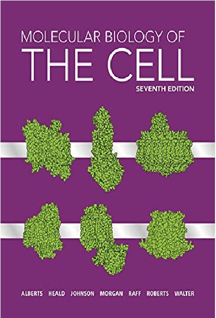 Molecular Biology of the Cell 7th Edition PDF 