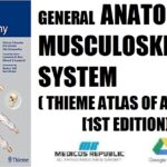 General Anatomy and Musculoskeletal System (THIEME Atlas of Anatomy) 1st Edition PDF