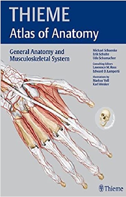 General Anatomy and Musculoskeletal System (THIEME Atlas of Anatomy) 1st Edition PDF