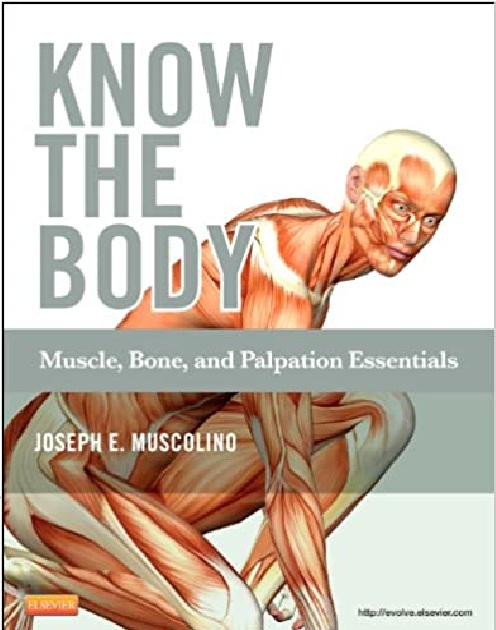 Know the Body: Muscle, Bone, and Palpation Essentials 1st Edition PDF