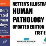 Netter's Illustrated Human Pathology Updated Edition 1st Edition PDF