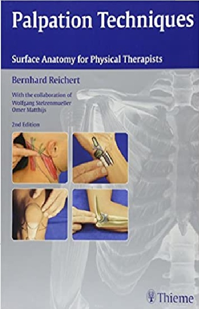 Palpation Techniques: Surface Anatomy for Physical Therapists 2nd Edition PDF
