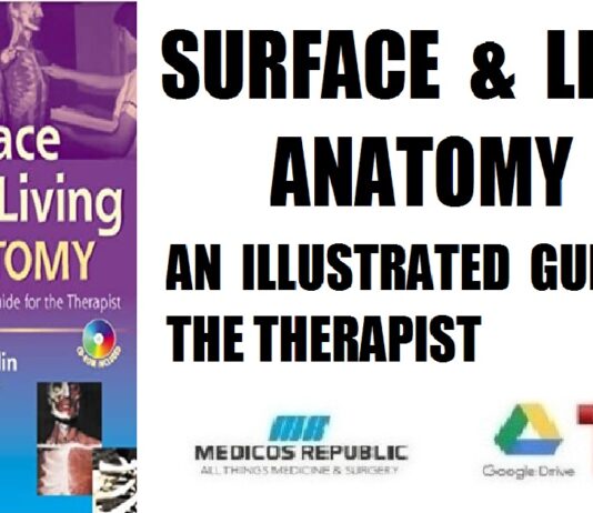 Surface and Living Anatomy An Illustrated Guide for the Therapist PDF