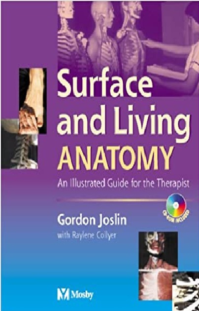 Surface and Living Anatomy: An Illustrated Guide for the Therapist PDF