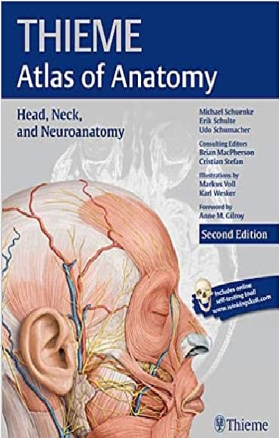 THIEME Atlas of Anatomy: Head, Neck, and Neuroanatomy 2nd Edition PDF