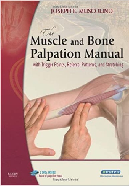 The Muscle and Bone Palpation Manual with Trigger Points, Referral Patterns and Stretching 1st Edition PDF