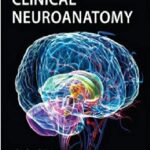 Clinical Neuroanatomy (Lange Medical Book) 27th Edition PDF Free Download