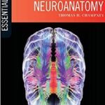 Essential Clinical Neuroanatomy 1st Edition PDF Free Download