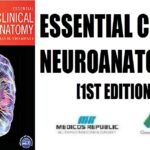 Essential Clinical Neuroanatomy 1st Edition PDF Free Download