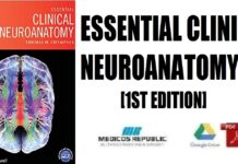 Essential Clinical Neuroanatomy 1st Edition PDF