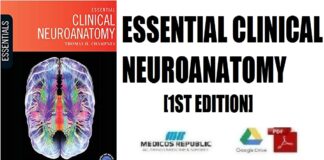 Essential Clinical Neuroanatomy 1st Edition PDF