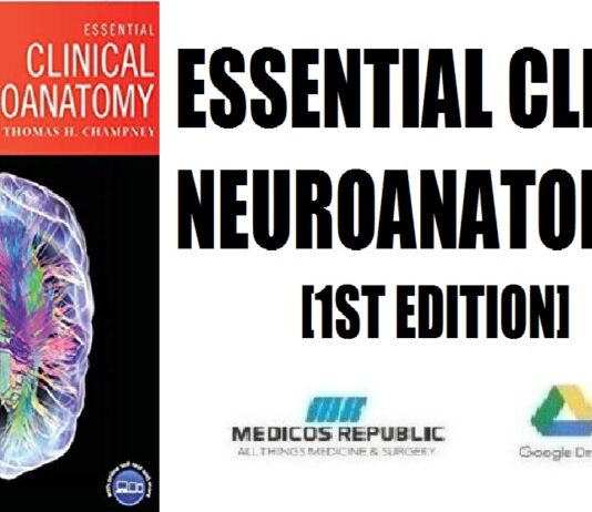 Essential Clinical Neuroanatomy 1st Edition PDF