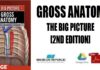 Gross Anatomy The Big Picture 2nd Edition PDF