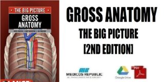 Gross Anatomy The Big Picture 2nd Edition PDF