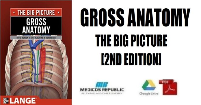 Gross Anatomy The Big Picture 2nd Edition PDF