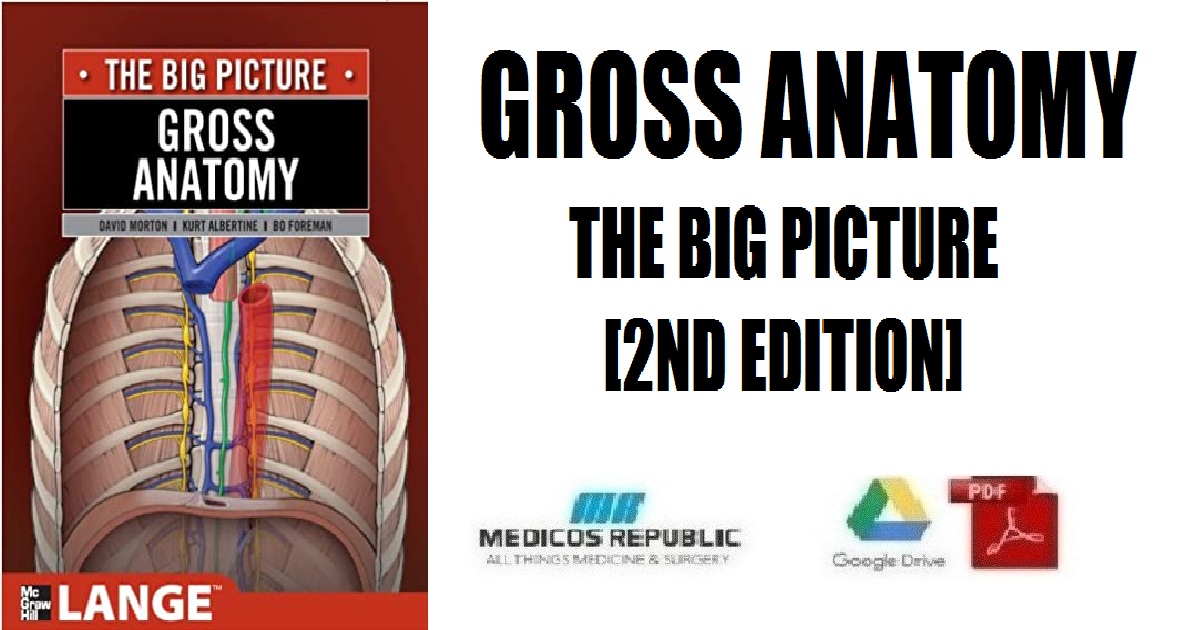 Gross Anatomy: The Big Picture 2nd Edition PDF