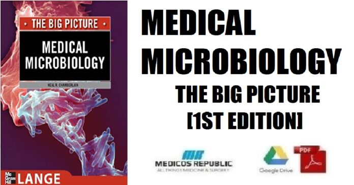 Medical Microbiology The Big Picture 1st Edition PDF