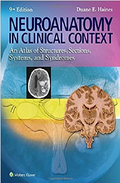Neuroanatomy in Clinical Context: An Atlas of Structures, Sections, Systems, and Syndromes 9th Edition PDF