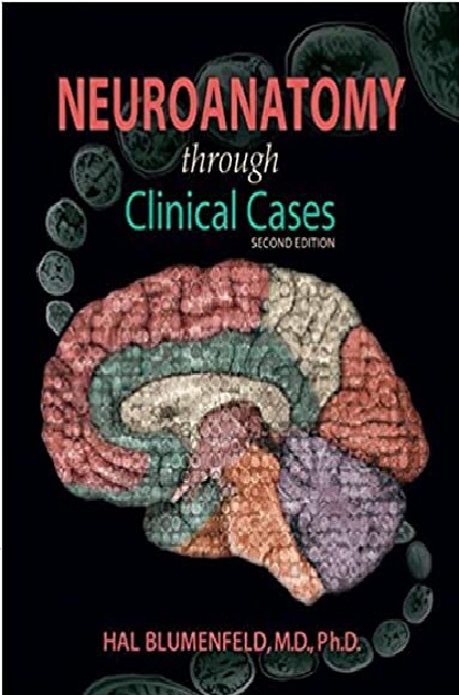 Neuroanatomy through Clinical Cases 2nd Edition PDF