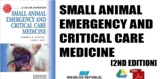 Small Animal Emergency and Critical Care Medicine 2nd Edition PDF