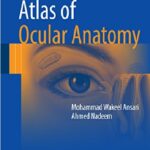 Atlas of Ocular Anatomy 1st Edition PDF Free Download