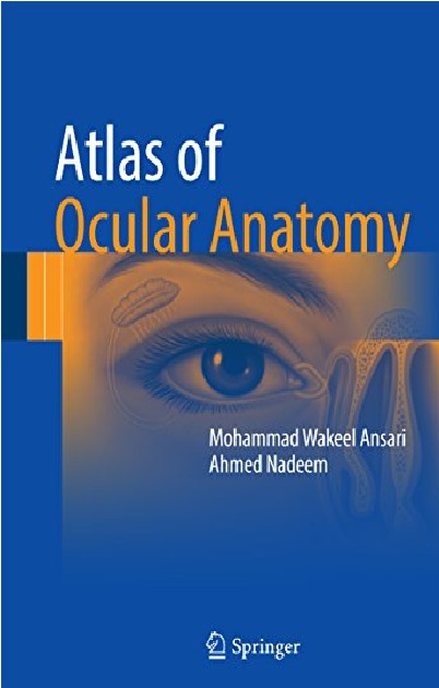Atlas of Ocular Anatomy 1st Edition PDF