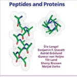 Introduction to Peptides and Proteins 1st Edition PDF Free Download