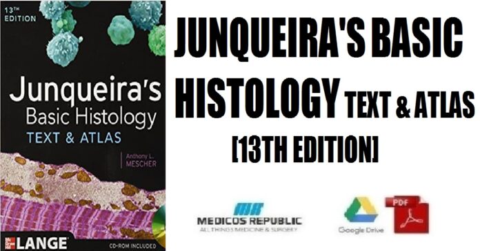 Junqueira's Basic Histology Text and Atlas 13th Edition PDF