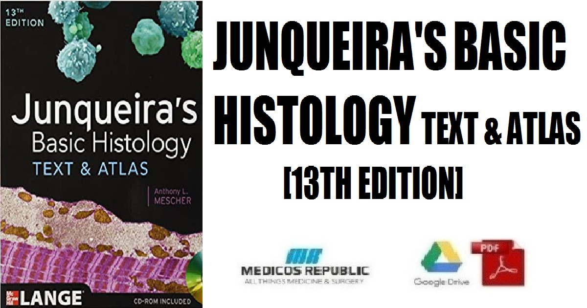 Junqueira's Basic Histology: Text and Atlas, Thirteenth Edition 13th Edition PDF