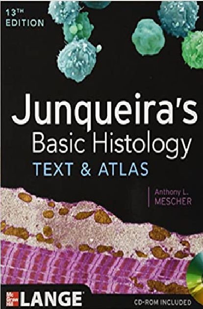 Junqueira's Basic Histology: Text and Atlas, Thirteenth Edition 13th Edition PDF