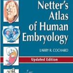 Netter’s Atlas of Human Embryology 1st Edition PDF Free Download