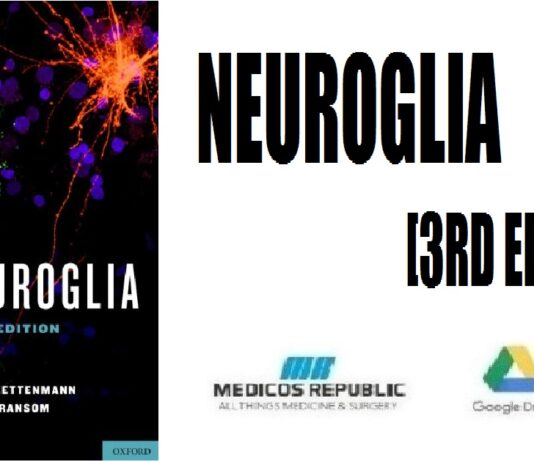 Neuroglia 3rd Edition PDF