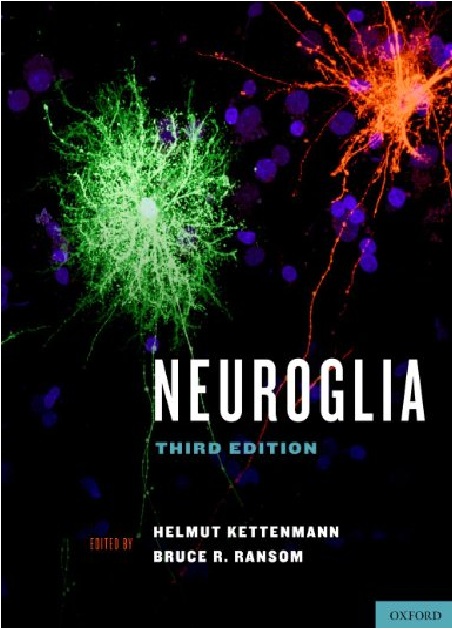 Neuroglia 3rd Edition PDF