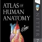 Atlas of Human Anatomy (Netter Basic Science) 7th Edition PDF Free Download