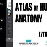 Atlas of Human Anatomy (Netter Basic Science) 7th Edition PDF Free Download